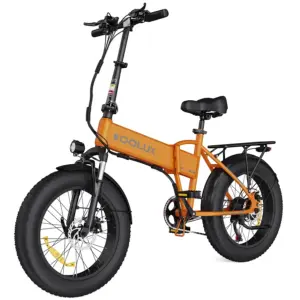 KOOLUX BK10 SS 750W High-end Version Folding E bike