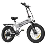 KOOLUX BK10 SS 750W High-end Version Folding E bike