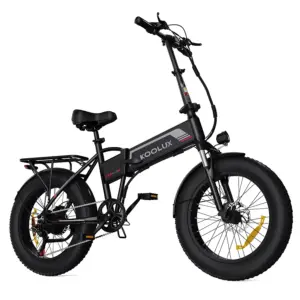 KOOLUX BK10 SS 750W High-end Version Folding E bike