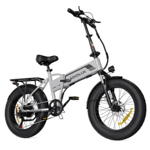 KOOLUX BK10 SS 750W High-end Version Folding E bike