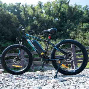 HITWAY BK15 Electric Bike 500W - Image 5