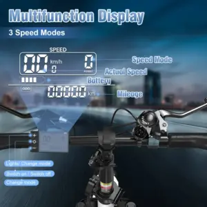 BK6S 4.0 Folding Ebike - Image 4