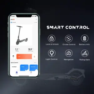 RCB R19 Electric Scooter for Adult - Image 6