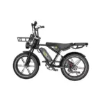 KOOLUX X9 Electric Bike 750W