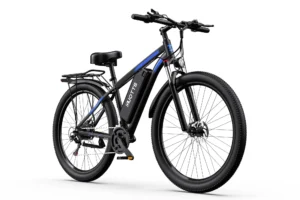 DUOTTS C29 Electric Bike Double Battery