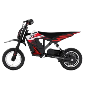 RCB R9X Electric Motocross Dirt Bike