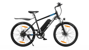 VARUN M24-1 Electric Bike